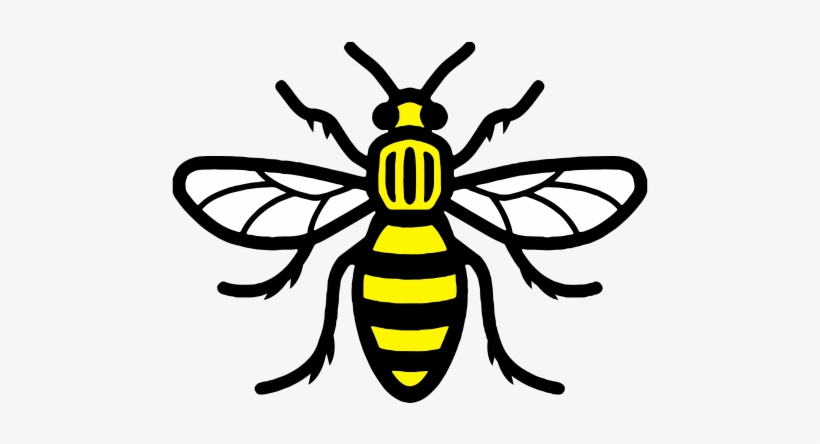 Tumblr O78c57lrta1tf03gqo1 - Dont Look Back In Anger Manchester, transparent png download