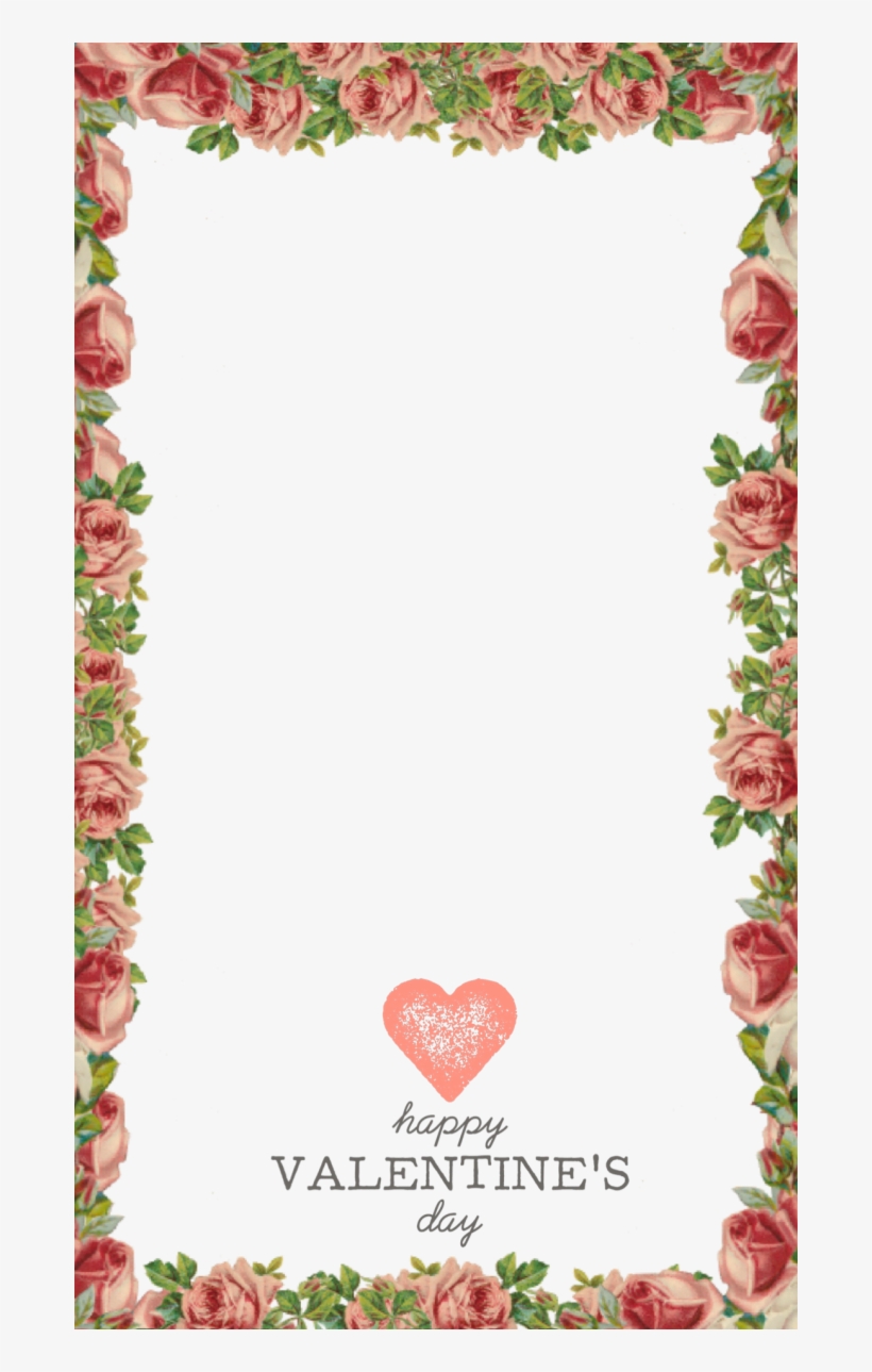 Garden Roses, transparent png download