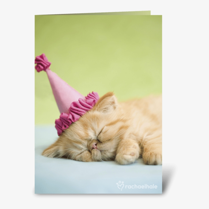 Happy Birthday Kitten In Party Hat Greeting Card - All Partied Out, transparent png download