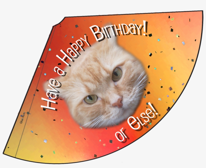 Orange Or Else Hat Birthday Hat - Hat, transparent png download