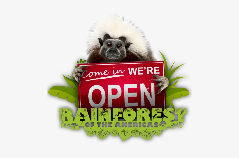 Buy Tickets - - Bat, transparent png download