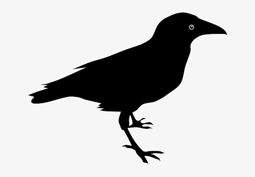 Clipart Bird Ravens - Raven Clipart, transparent png download