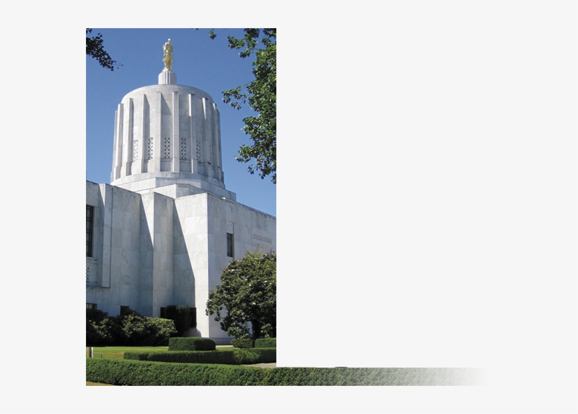 03 Pm 815 Homebutton On 9/11/2015 - Shrine, transparent png download