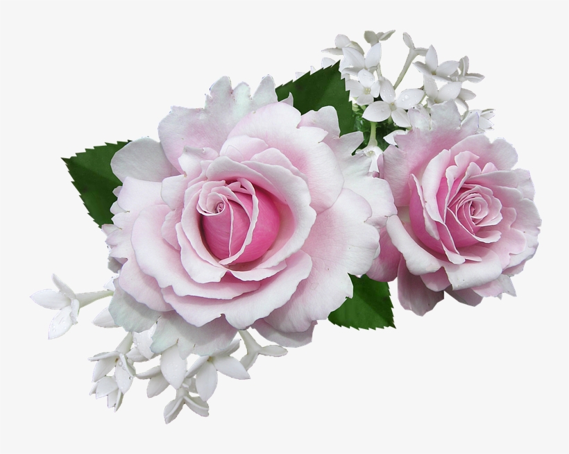 Pink And White Flowers Png, transparent png download