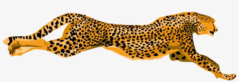 Free Free 266 Png Transparent Cheetah Print Svg Free SVG PNG EPS DXF File