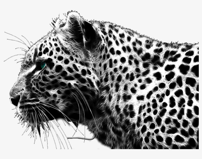 Cheetah Png, transparent png download