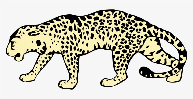 Felidae Cheetah Snow Leopard Clouded Leopard Northeast - Leopard Clipart, transparent png download