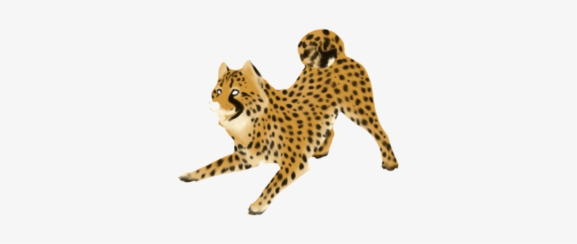 Cheetah Png Clipart - Portable Network Graphics, transparent png download