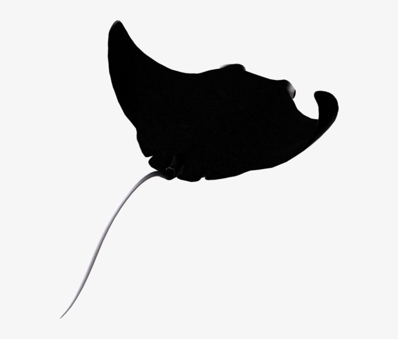 Manta Ray Silhouette At Getdrawings - Transparent Stingray Clipart, transparent png download