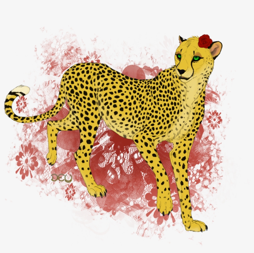 Cat, transparent png download