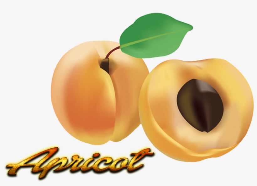 Apricot, transparent png download