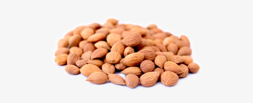 Sweet Apricot Kernels 528 Lb Order - Apricot Kernel Png, transparent png download