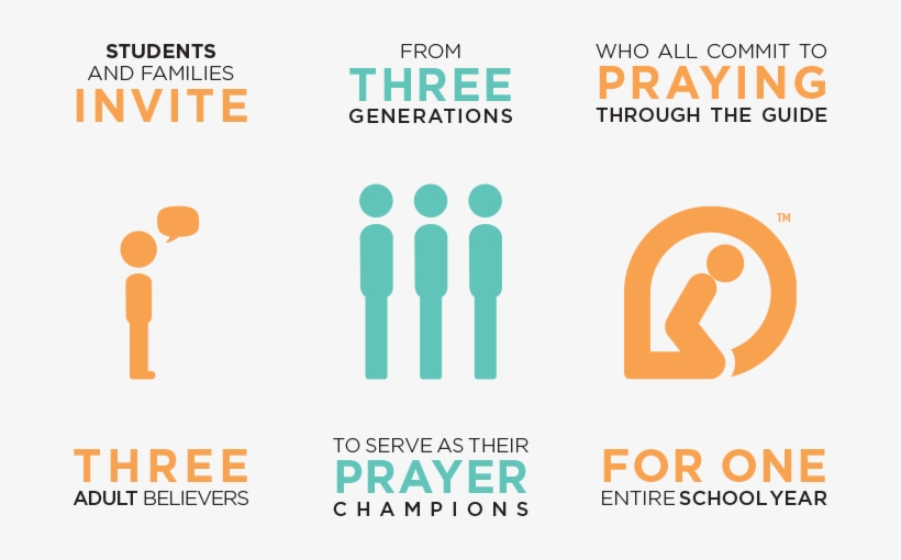 Pfmc Info Graphic - Information, transparent png download