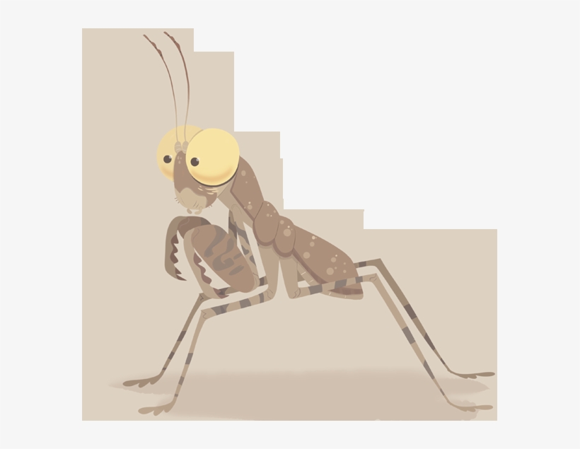Desert Pebble Praying Mantis - Wild Kratts Mantis, transparent png download