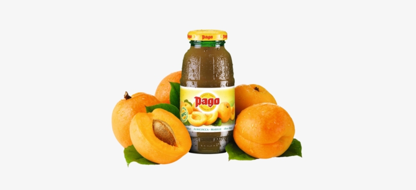 Pago Abricot, transparent png download