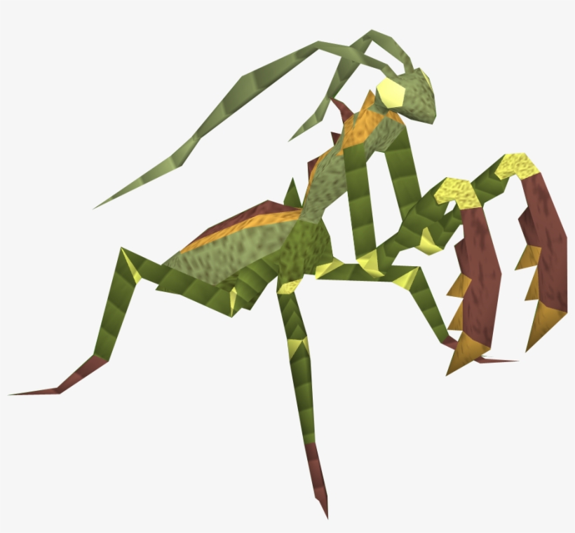 Mantis Png Image File - Praying Mantis Clear Background, transparent png download