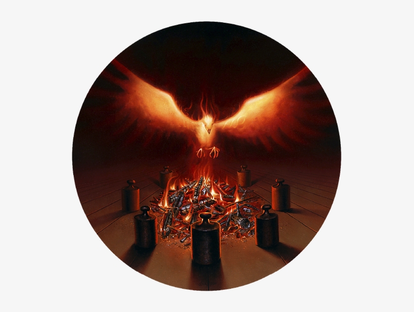 Phoenix From The Ashes By Seigfried Zademack - Phoenix, transparent png download