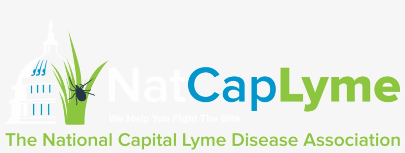 Classdojo, transparent png download