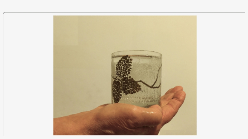 Specific Maneuver Consisting In Holding A Full Glass - Water, transparent png download
