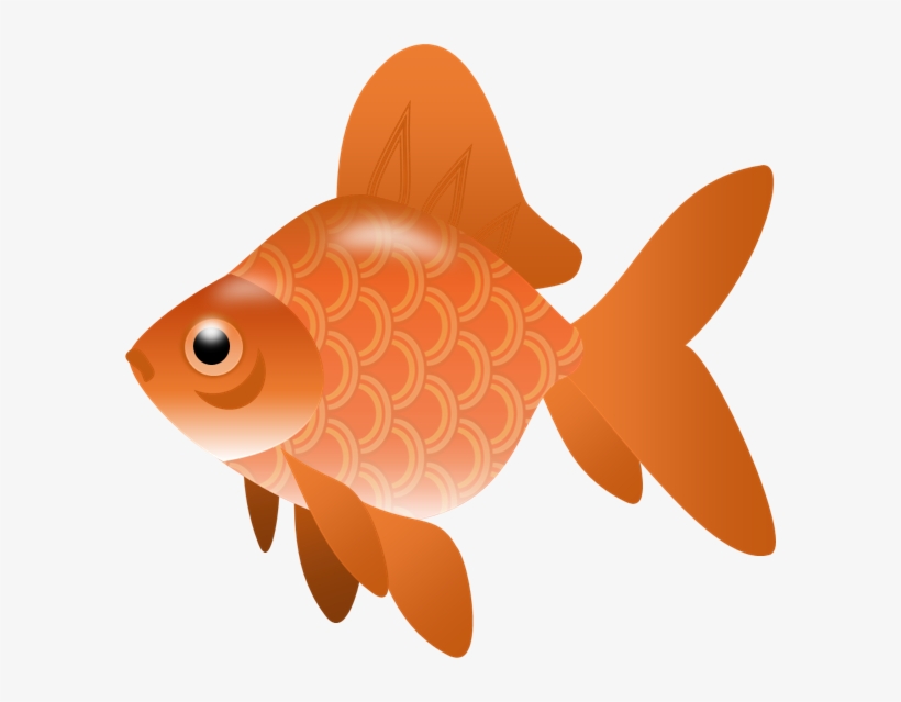 Koi Fish Clipart Transparent - Fish Clip Art Small, transparent png download