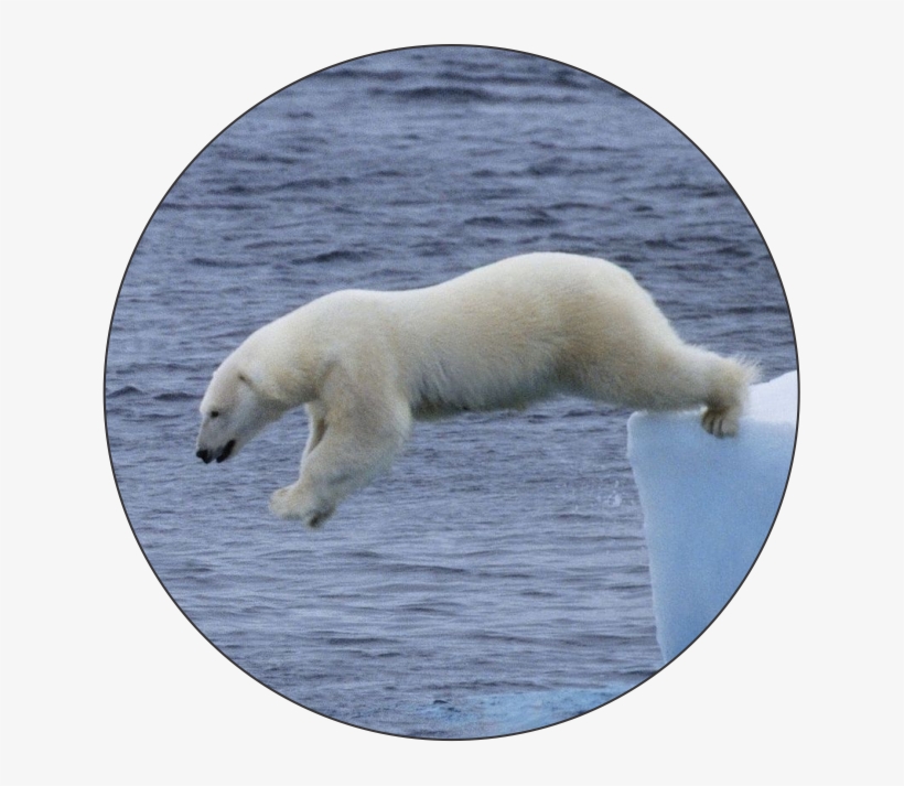 Schoppy's Since - Kuzey Buz Denizi Ile Ilgili Bilgiler, transparent png download