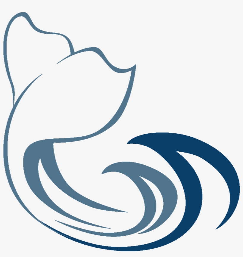 Oota Whale Tail Square - Whale Tail, transparent png download