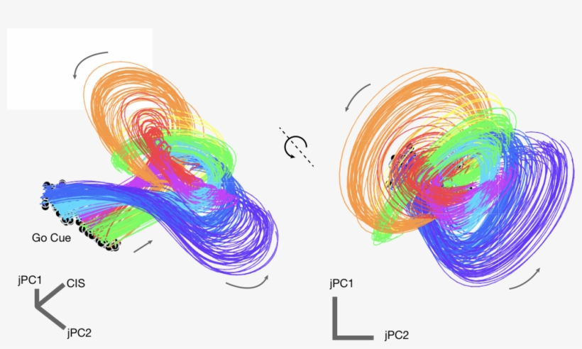 Noise-cancelling Method Enhances Ability To Predict - Common Fig, transparent png download