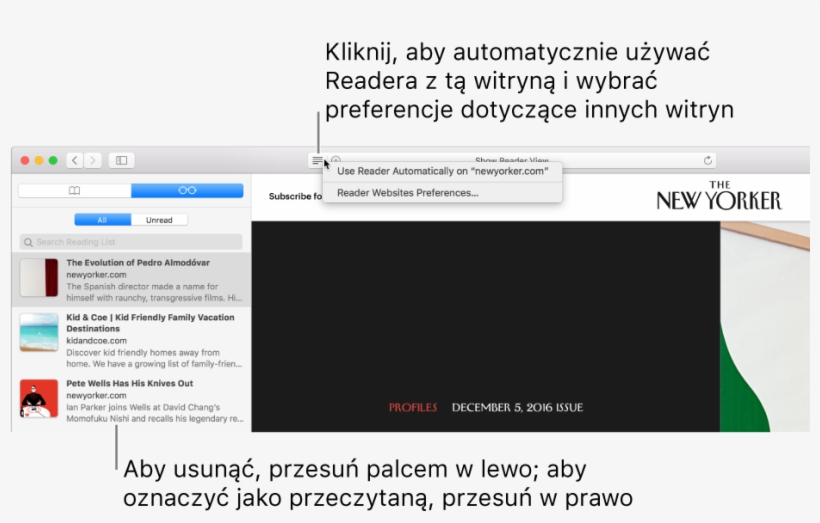 Okno Safari Z Listą - Safari, transparent png download