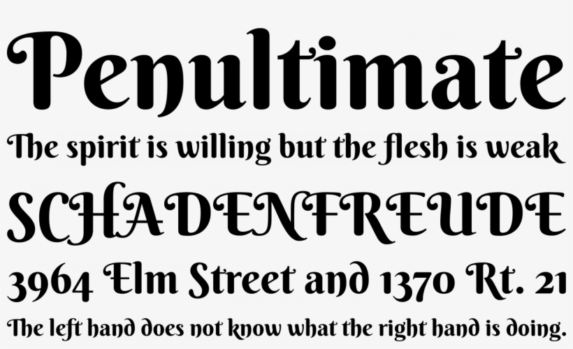 Berkshire Swash Font Phrases - Infini Font, transparent png download