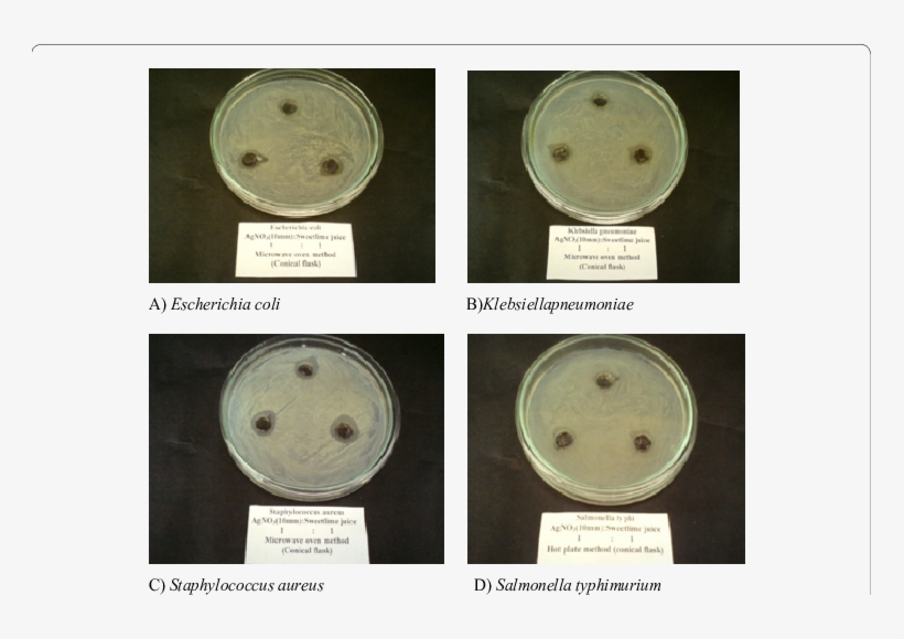 Comparison Of Antibacterial Activity Of Silver Nanoparticles - Circle, transparent png download