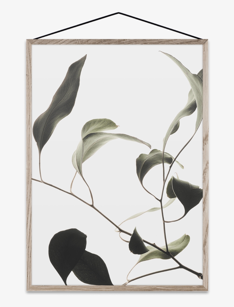 Floating Leaves - Floating Leaves By Norm Architects, transparent png download