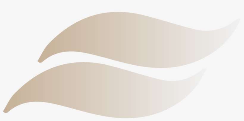 Plate Of Spaghetti - Spaghetti, transparent png download
