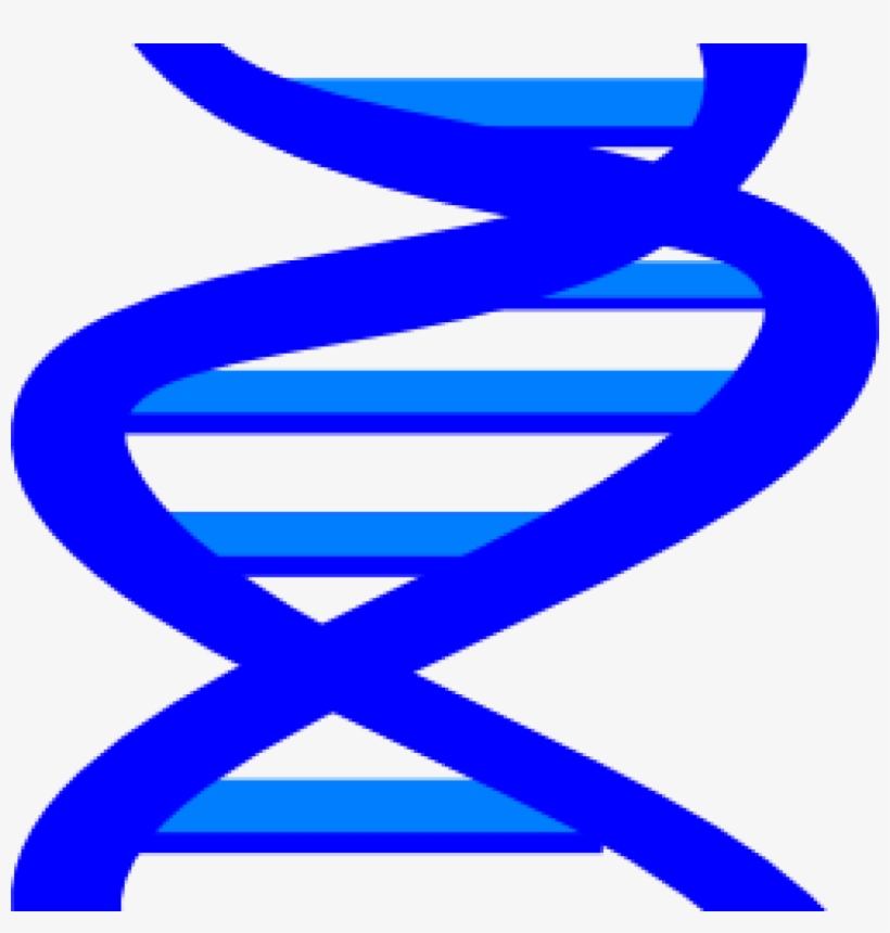 Dna Clip Art Dna Clip Art At Clker Vector Clip Art - Clip Art, transparent png download
