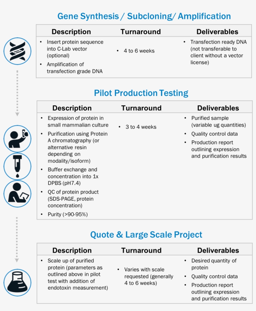 Table Showing Antibody Production Process PNG Image | Transparent PNG ...