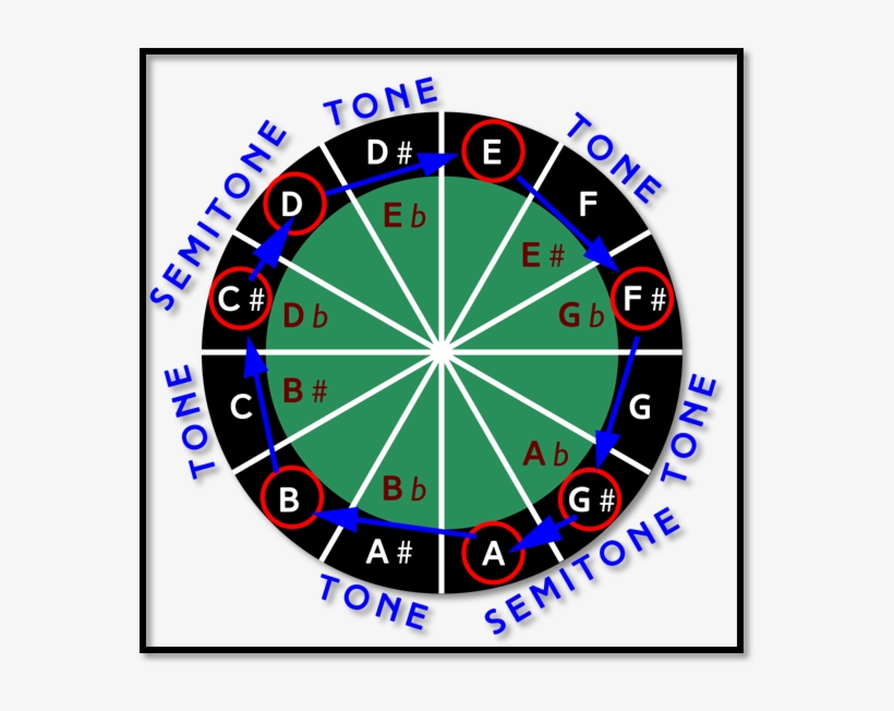 The Below Diagrams Show The A Major Scale Notes And - Chord, transparent png download