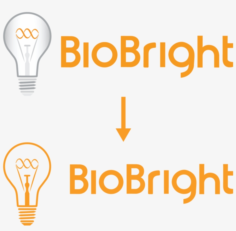 During My First Thorough Assessment Of Biobright's - Incandescent Light Bulb, transparent png download