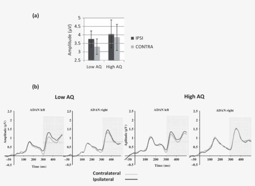 Mean Amplitudes For Contra-and Ipsilateral Gaze Directions, transparent png download