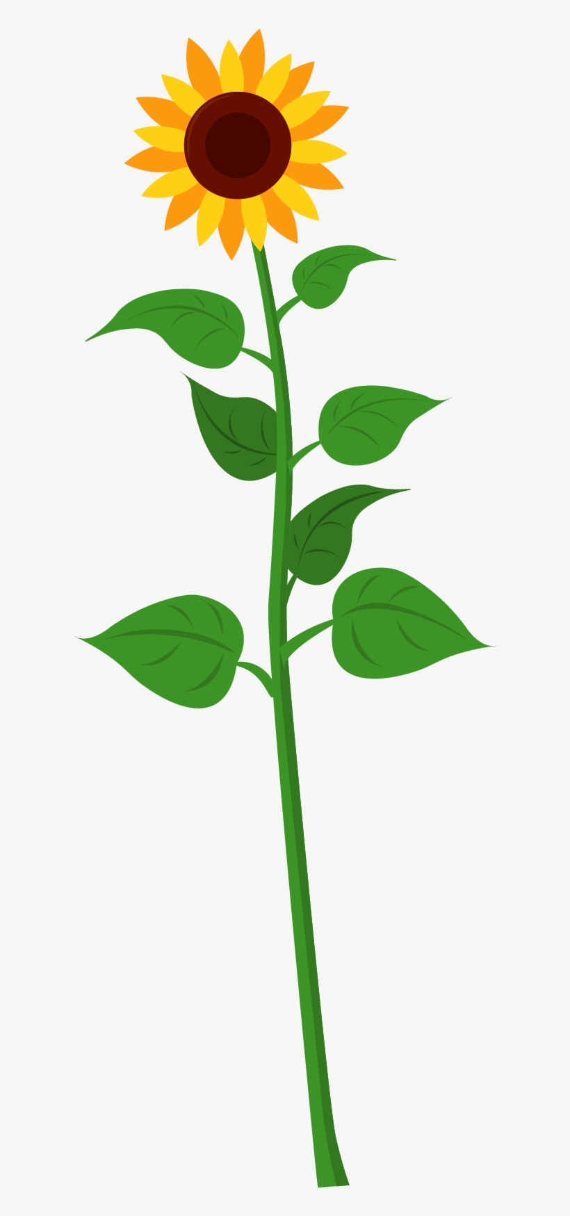 Sunflower - Plants Of A Plant, transparent png download
