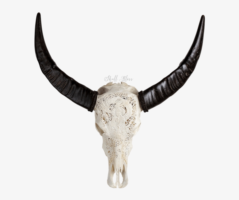Carved Buffalo Skull, transparent png download