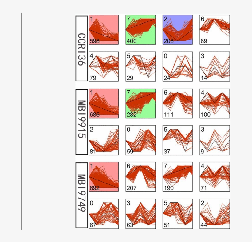 Different Gene Expression Patterns In The Three Lines - Gene, transparent png download