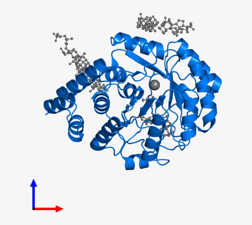 <div Class='caption-body'>pdb Entry 5fep Contains 1 - Graphic Design, transparent png download