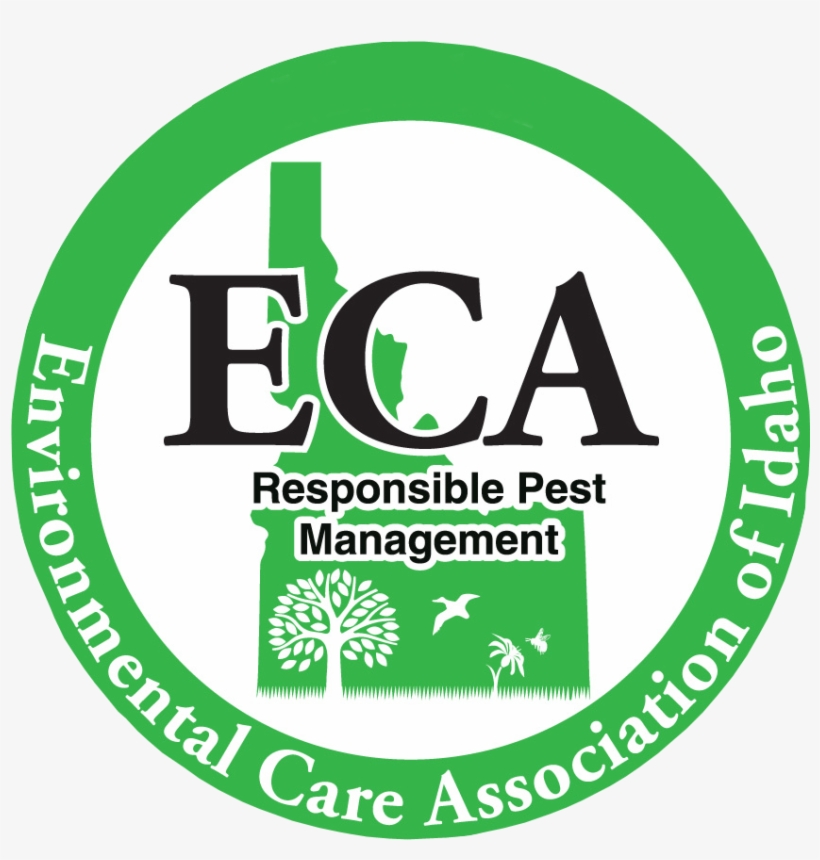 Mjolnir, transparent png download