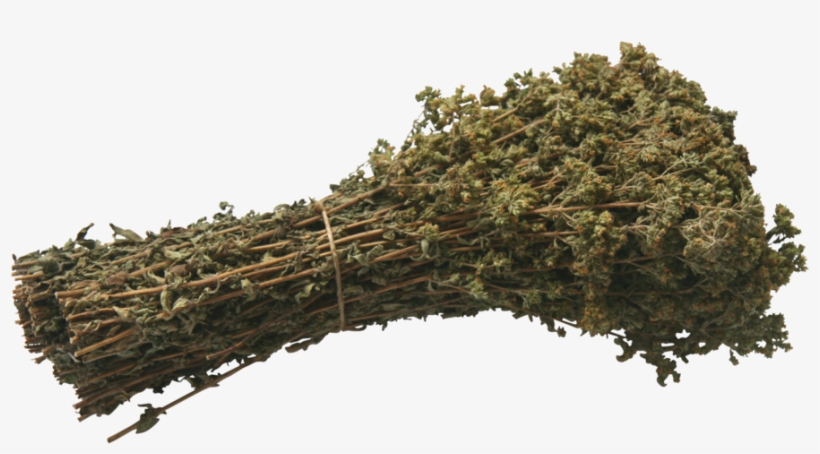 Organic Oregano Bunch 50-60g - Reflection, transparent png download