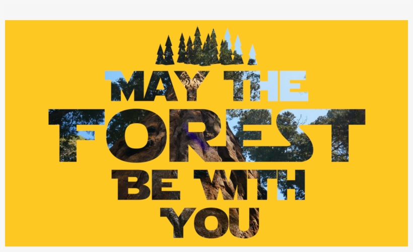 Png Still Image - You, transparent png download