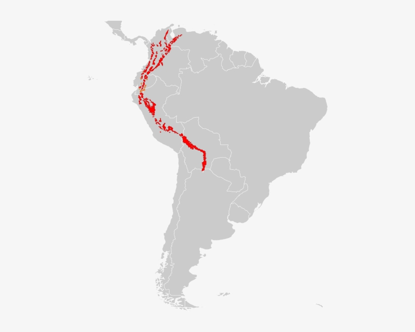 530px-tremarctos Ornatus Distribution - America Del Norte America Del Sur Y America Central, transparent png download