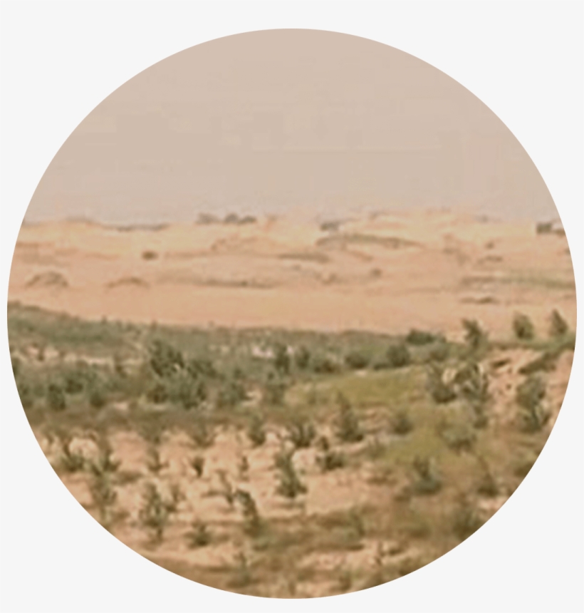 Greening The Horqin Desert Part - Circle, transparent png download