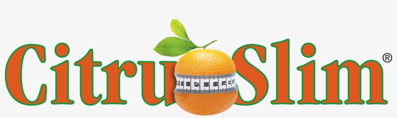 Wild Harvested Ingredients - Libro 100 Ricette Anticellulite Annalisa Bettin, transparent png download