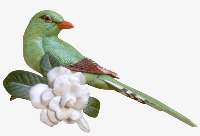 1987 Franklin Mint, Tropical Birds And Flowers Series, - Green Magpie Png, transparent png download