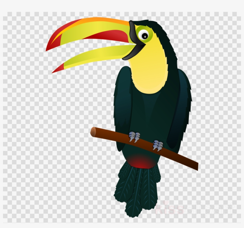 Tropical Bird Clip Art Clipart Bird Parrot Clip Art - Toucan Clipart Png, transparent png download