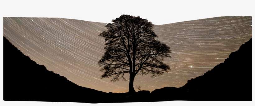 Latest Gallery Exhibition - Water, transparent png download